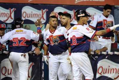 Tigres extiende la cadena de victorias y es líder de la LVBP