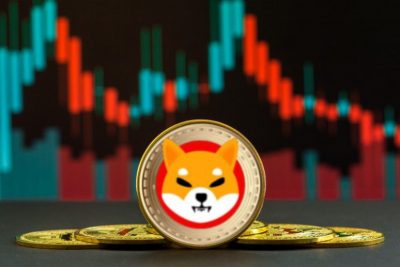 Shiba Inu podría ser una de las pocas criptomonedas capaces de superar la crisis actual, según expertos