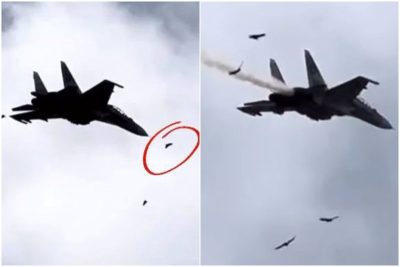 #Venezuela | Avión Sukhoi 30 cayó a causa de un ave que entró al sistema de motores, dice Gobierno
