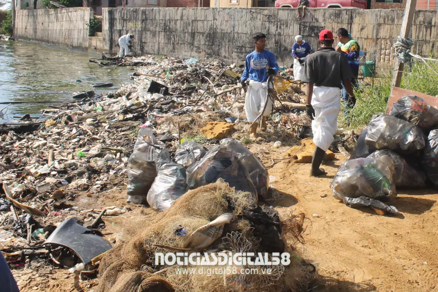 El Instituto Municipal de Ambiente (IMA) de Maracaibo movilizó este 07 de diciembre a un contingente de voluntarios y varias instituciones públicas para realizar una limpieza masiva en Playa Macuto, en el marco de la celebración de su vigésimo noveno aniversario y con el objetivo de recuperar espacios naturales del Lago de Maracaibo.